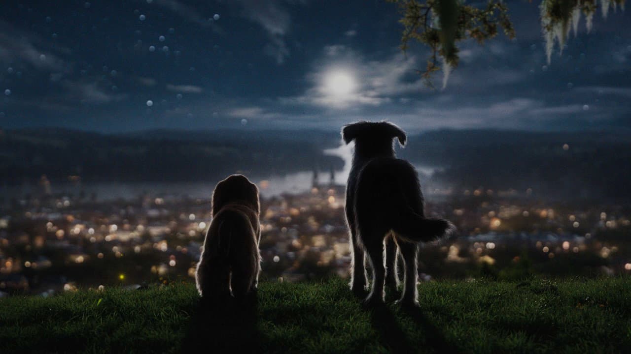 Lady and the Tramp still 4