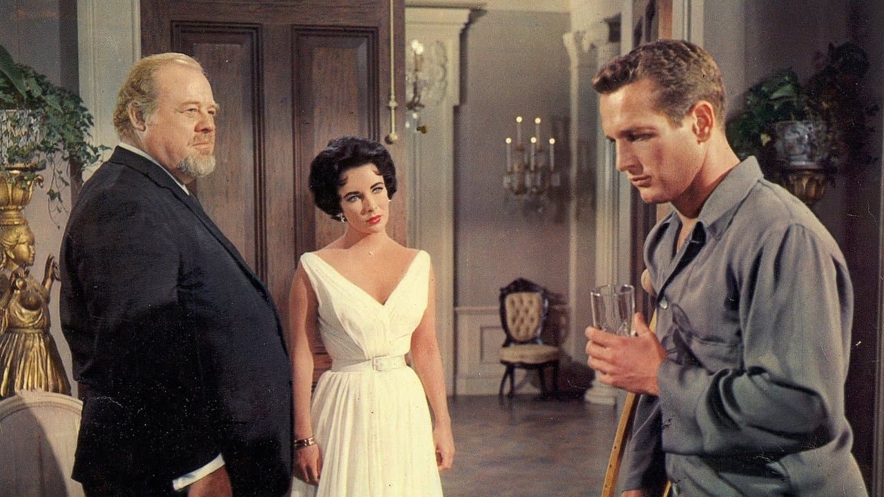 Cat on a Hot Tin Roof still 3