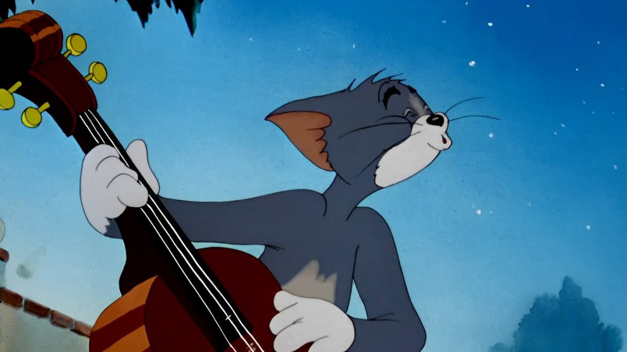Solid Serenade still 4