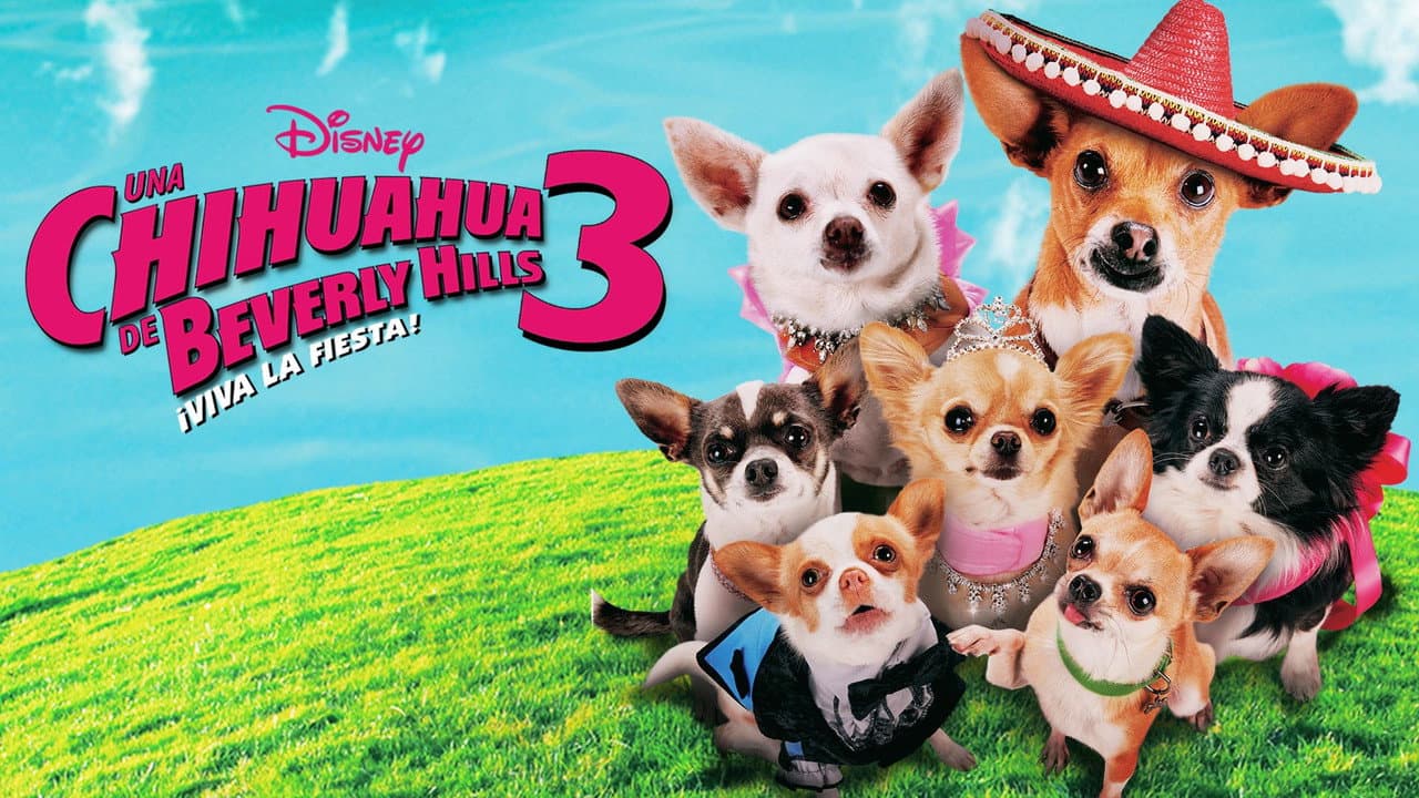 Beverly Hills Chihuahua 3: Viva la Fiesta! still 6