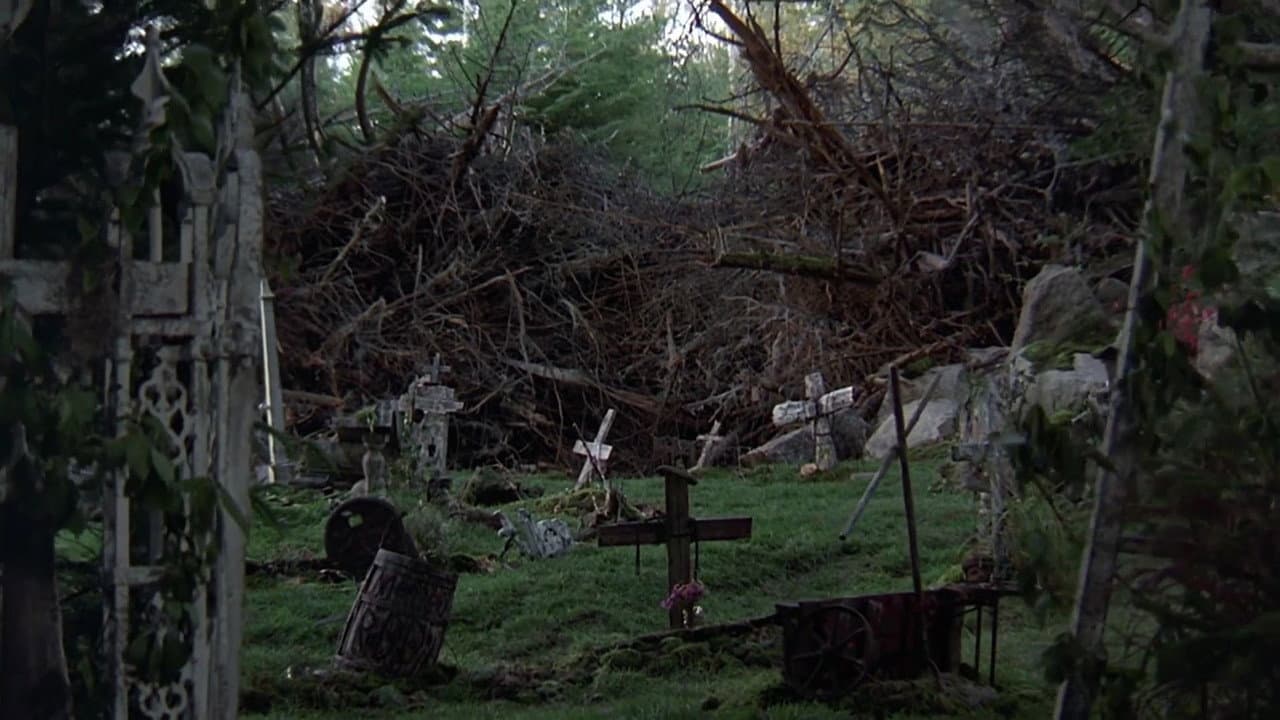 Pet Sematary still 5