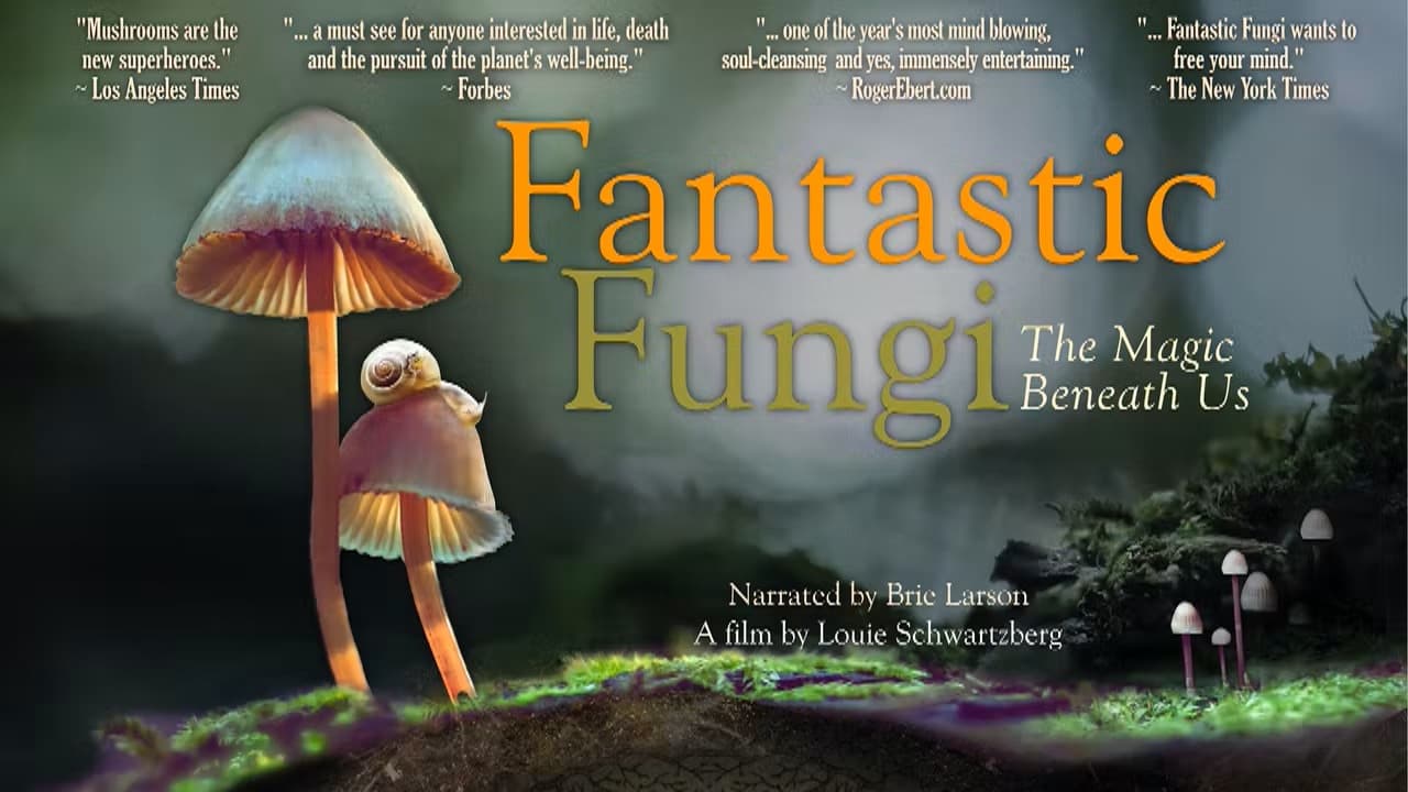 Fantastic Fungi still 7