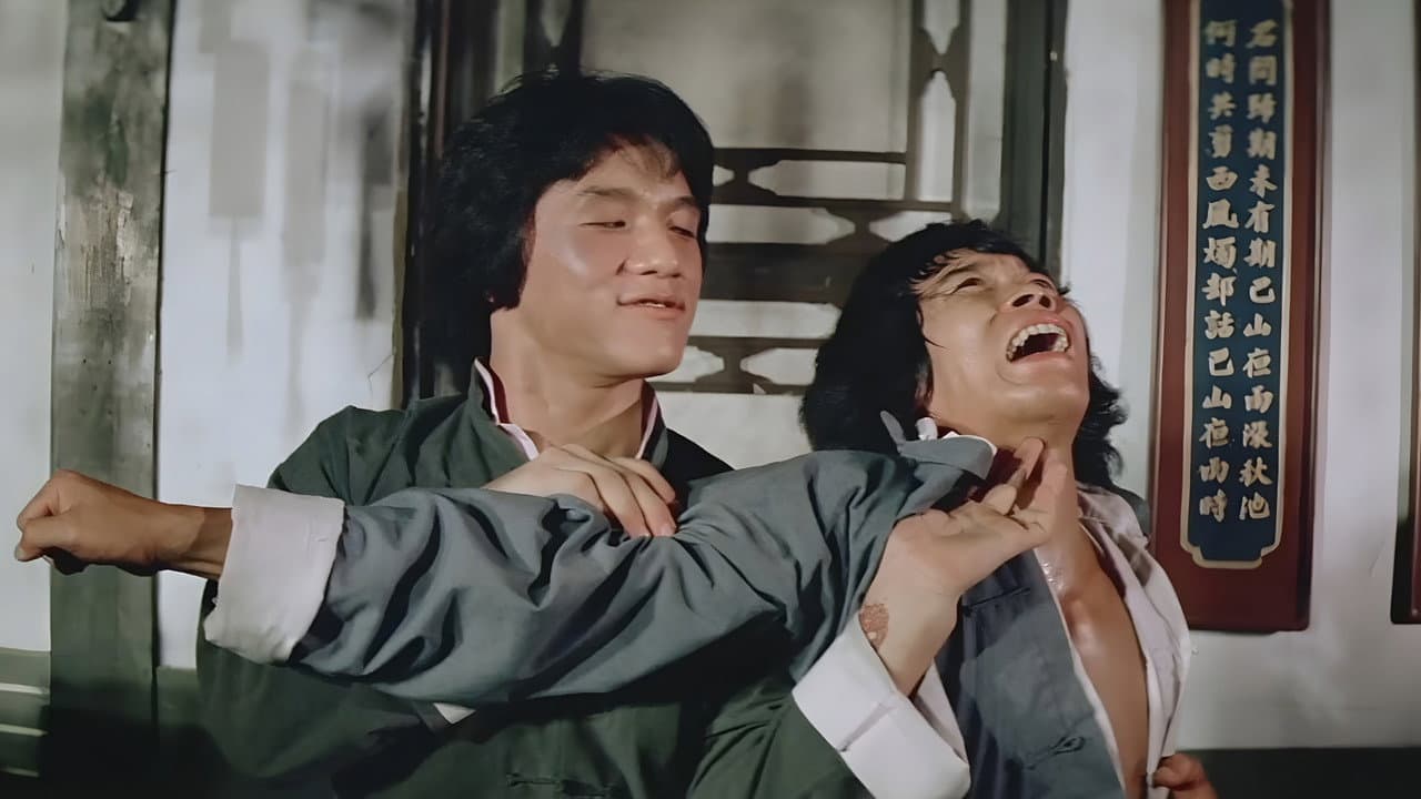 Shaolin Wooden Men still 5