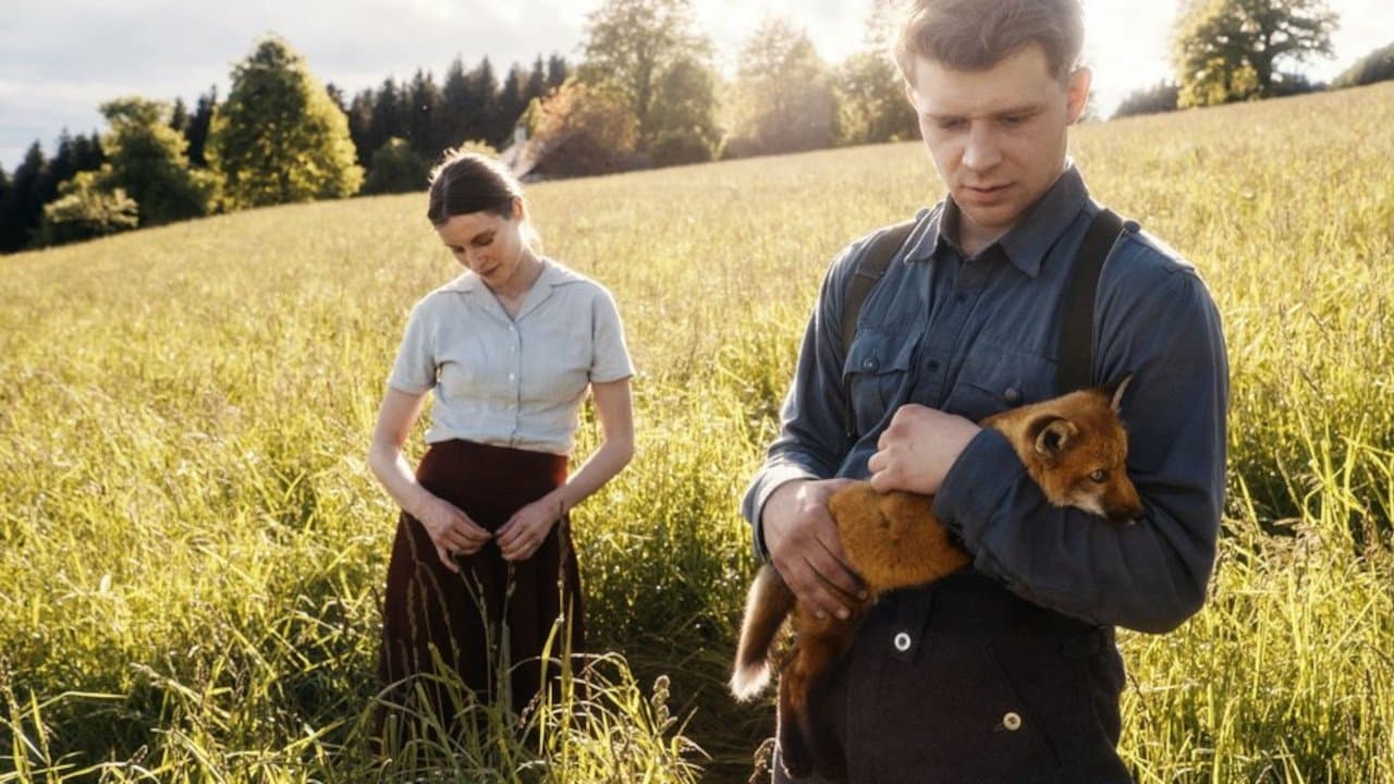 The Fox still 5