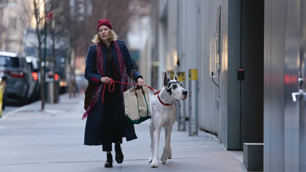 The Friend still 8