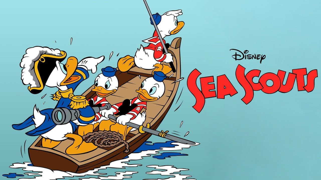 Sea Scouts still 4