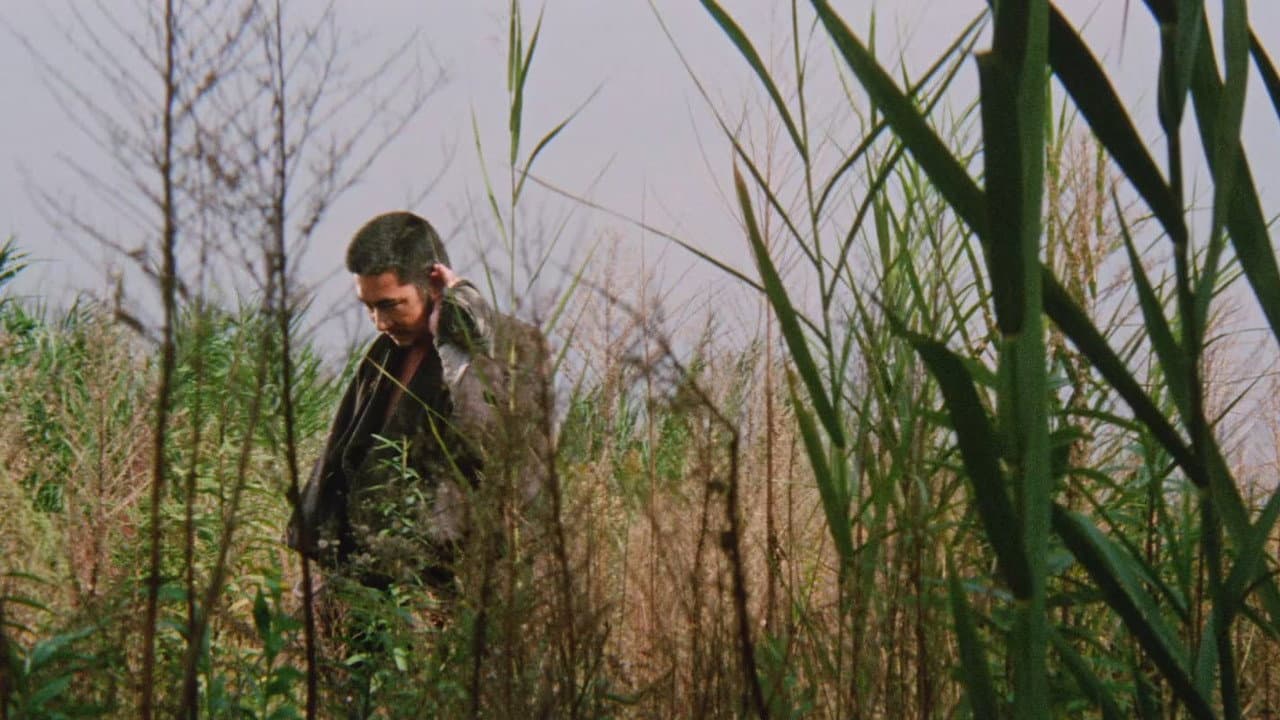Zatoichi Meets the One-Armed Swordsman still 8
