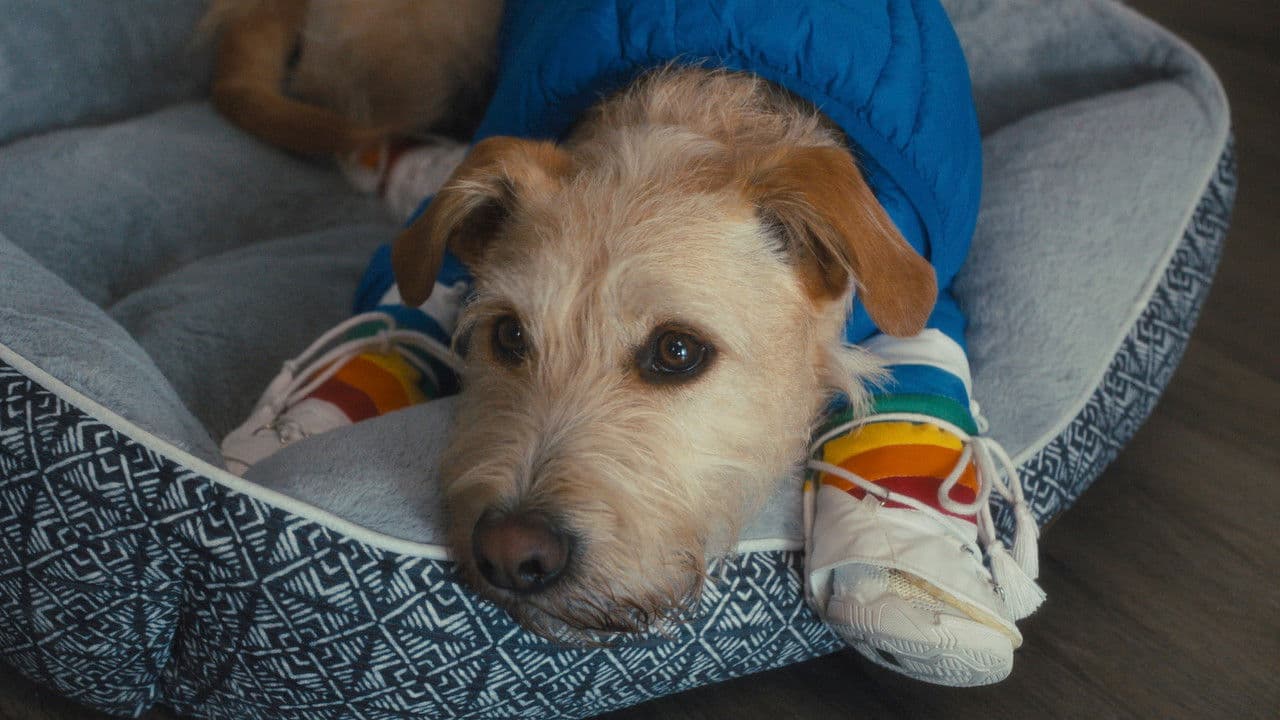 Merv still 4
