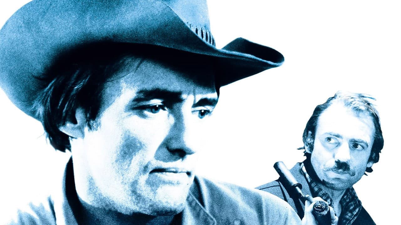 The American Friend still 5