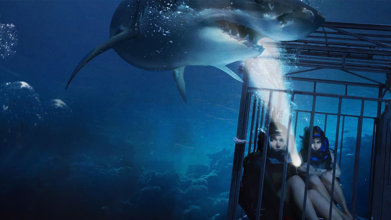 47 Meters Down still 2