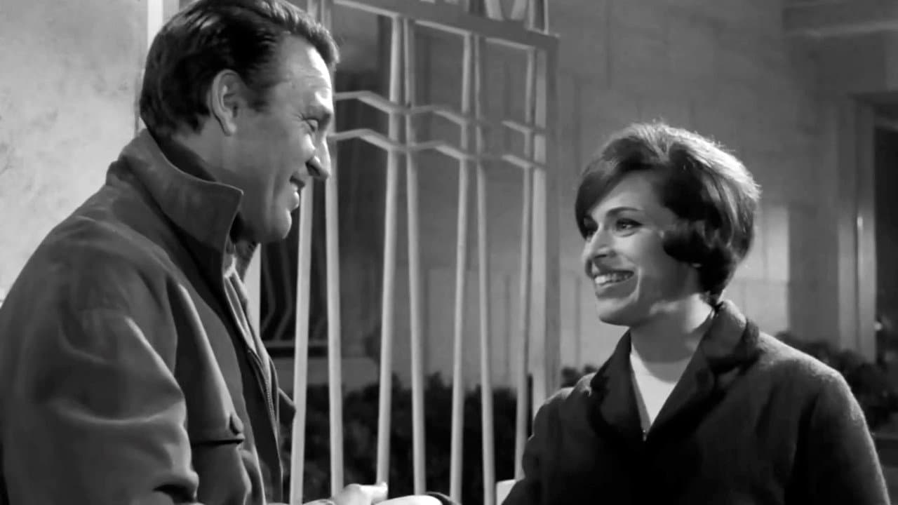 Gli onorevoli still 3
