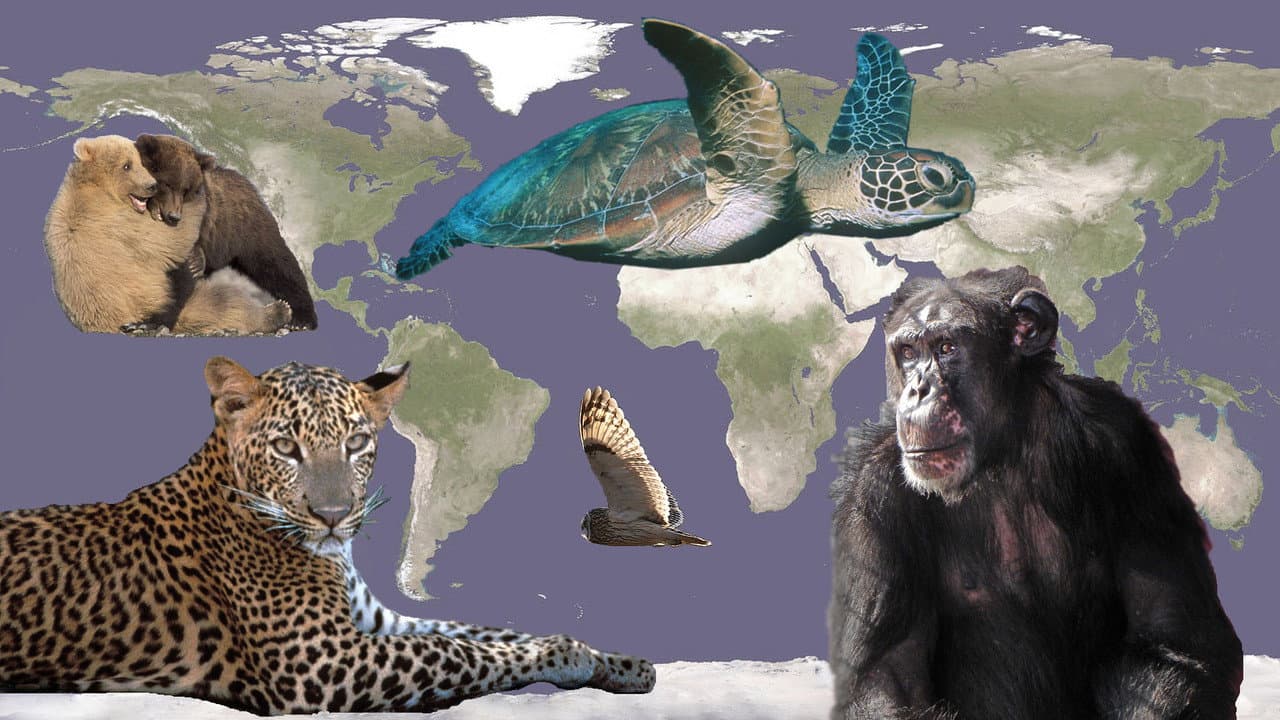 Nature Season 45 Review: PBS Wildlife Doc Still Soars still 4