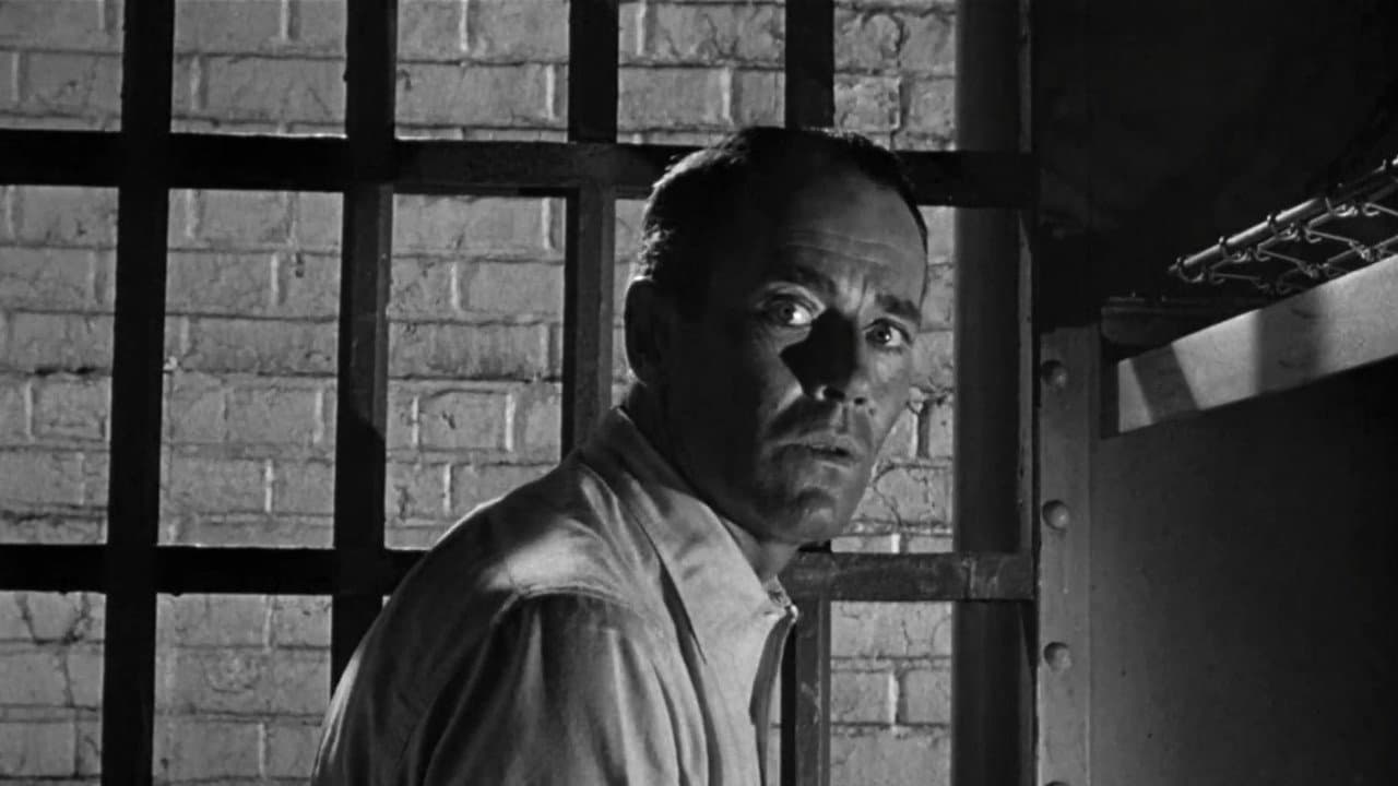 The Wrong Man still 8