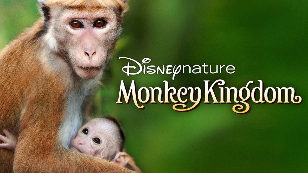 Monkey Kingdom still 3