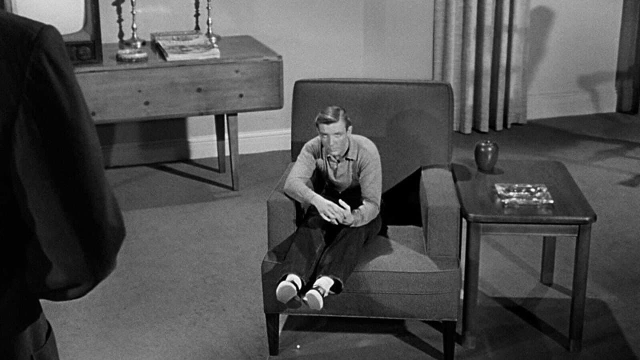 The Incredible Shrinking Man still 8