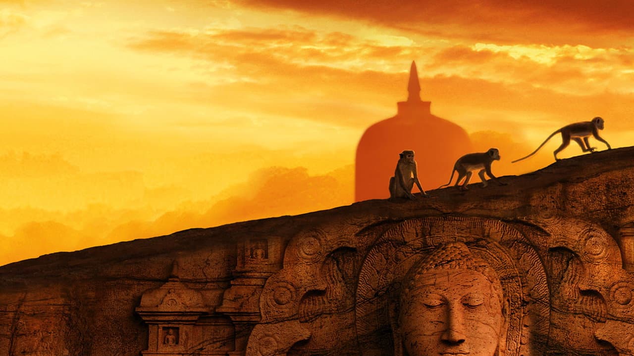 Monkey Kingdom still 2