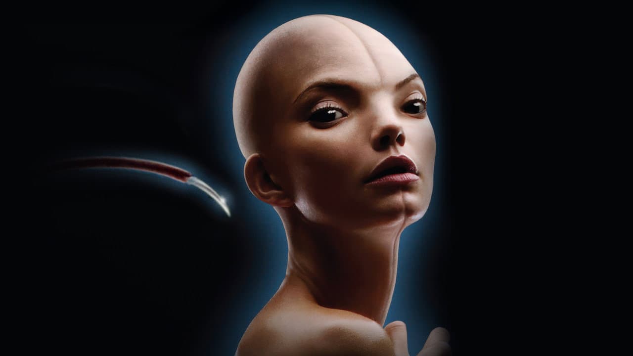 Splice still 2
