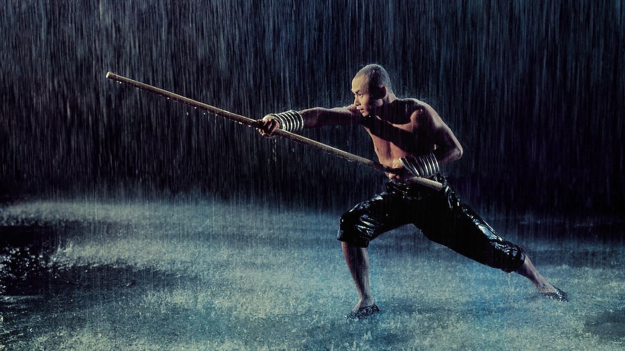 The 36th Chamber of Shaolin still 8