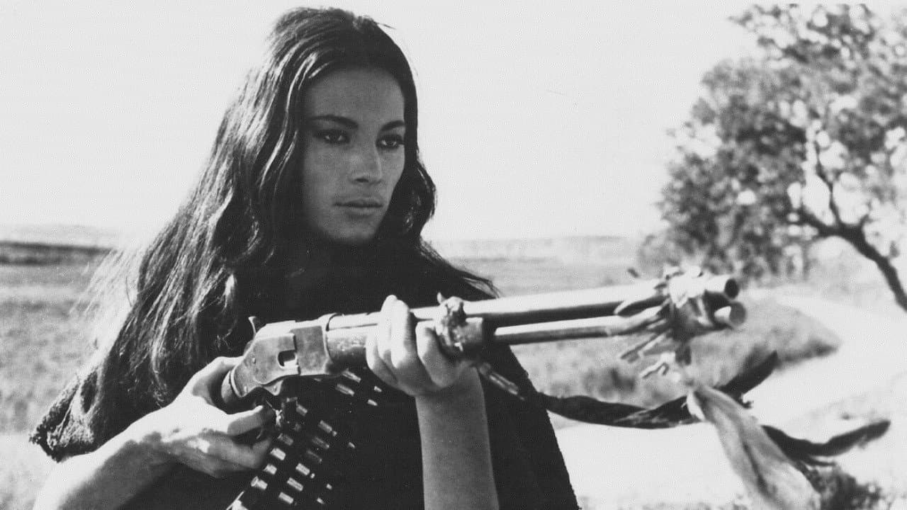 Navajo Joe still 4