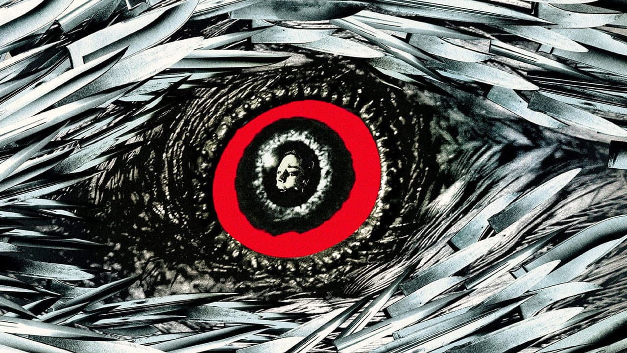 The Bird with the Crystal Plumage still 7