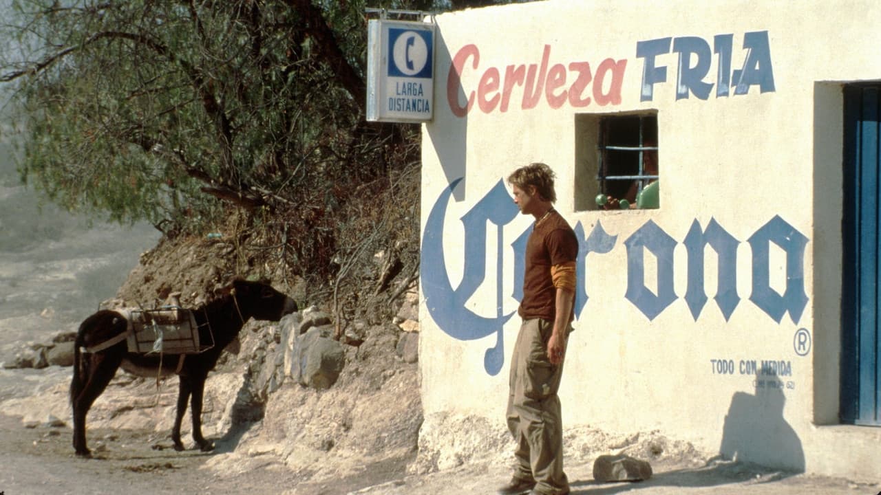 The Mexican still 7