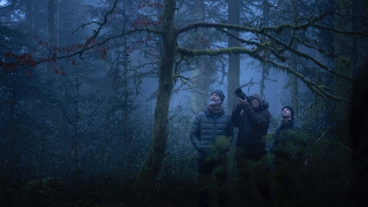 Whispers in the Woods still 7