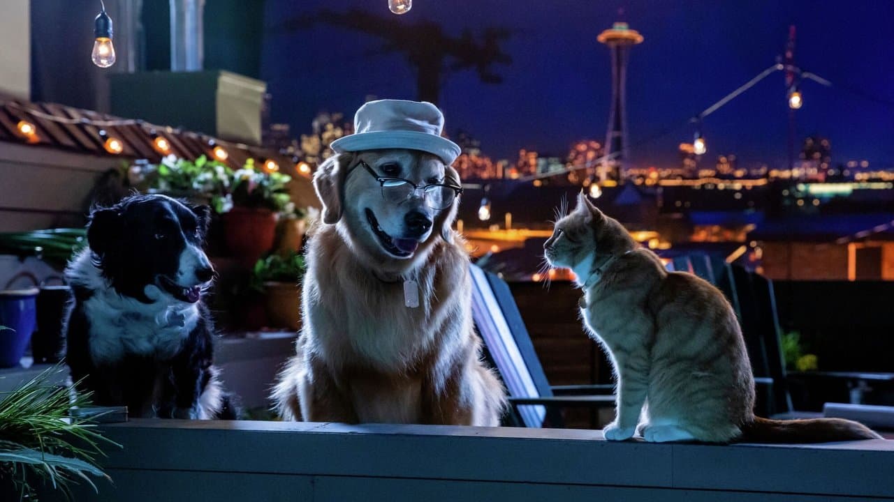 Cats & Dogs 3: Paws Unite still 3