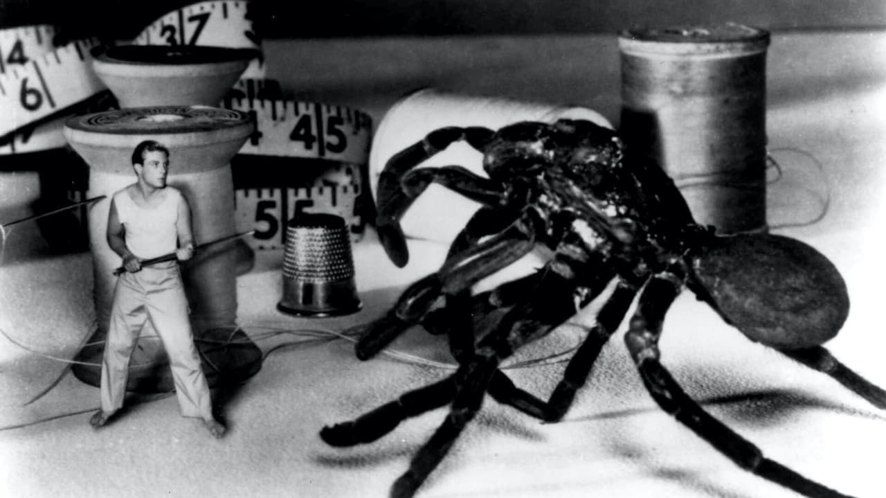 The Incredible Shrinking Man still 1