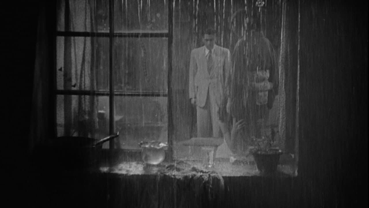 Stray Dog still 6