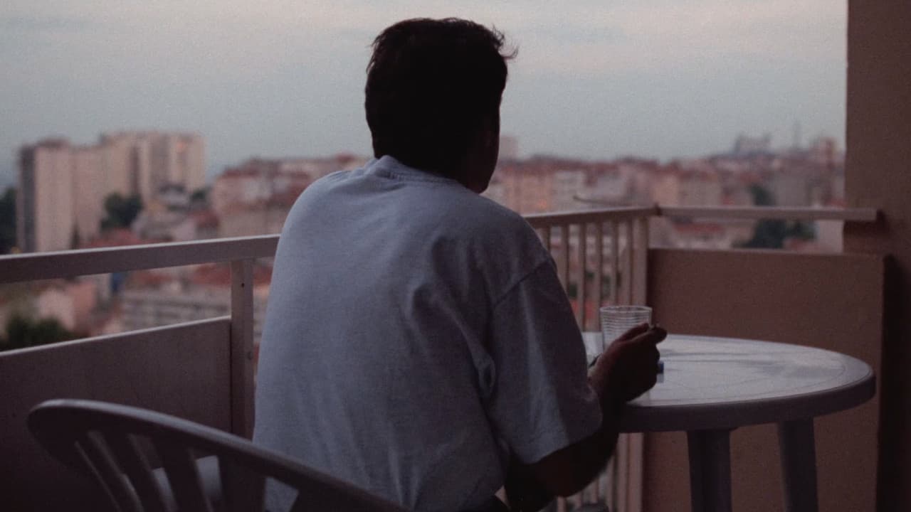Thieves still 5