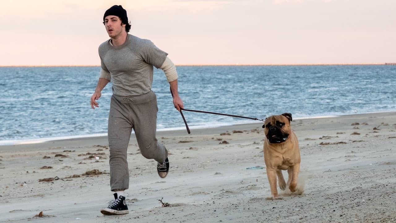 I Play Rocky: Stallone Jokes About 2026 Biopic still 5