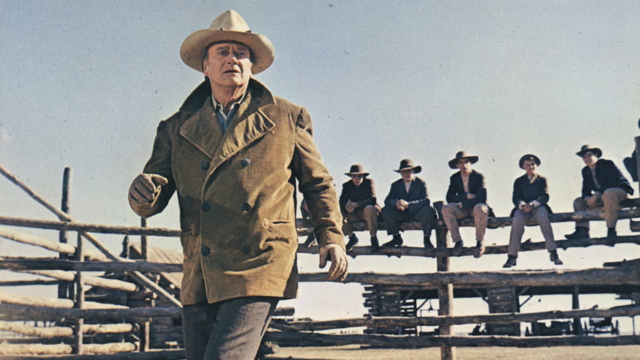 The Cowboys still 3