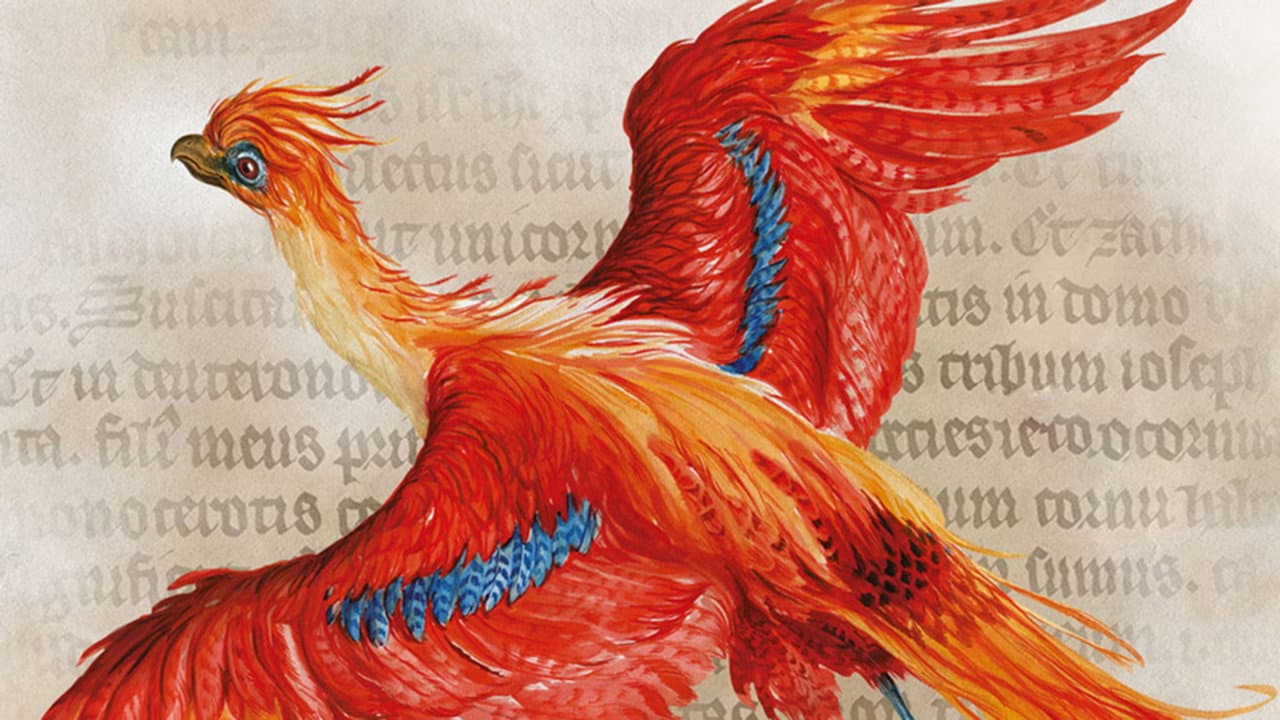 Harry Potter: A History Of Magic still 6