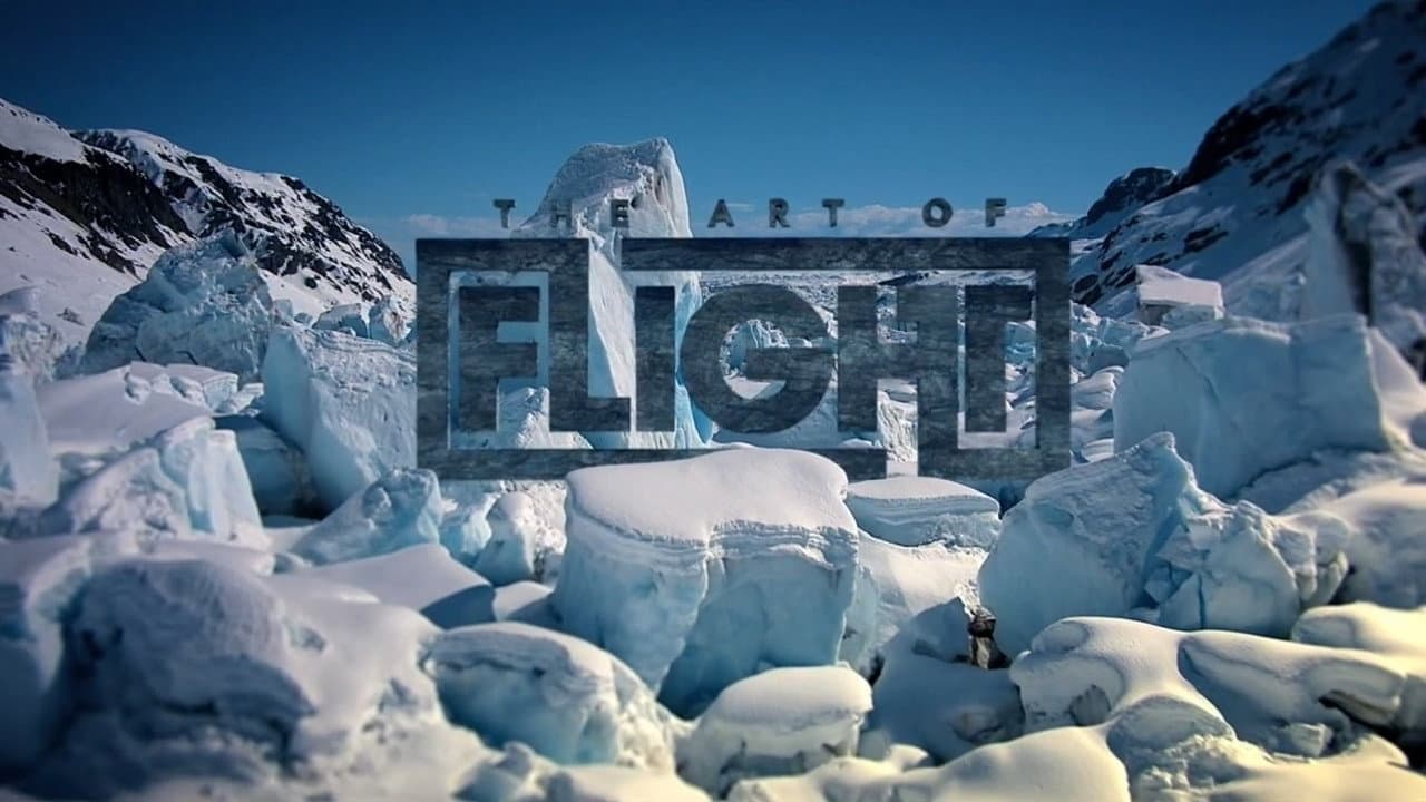 The Art of Flight still 2
