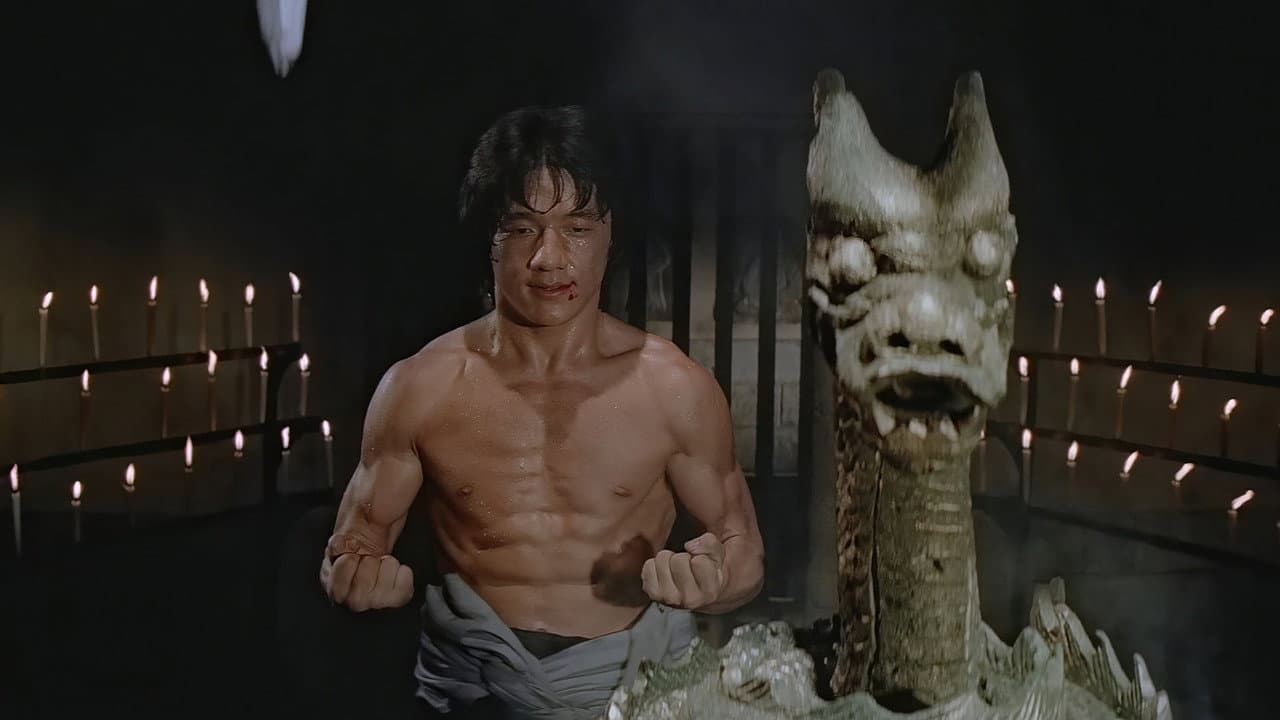 Shaolin Wooden Men still 7