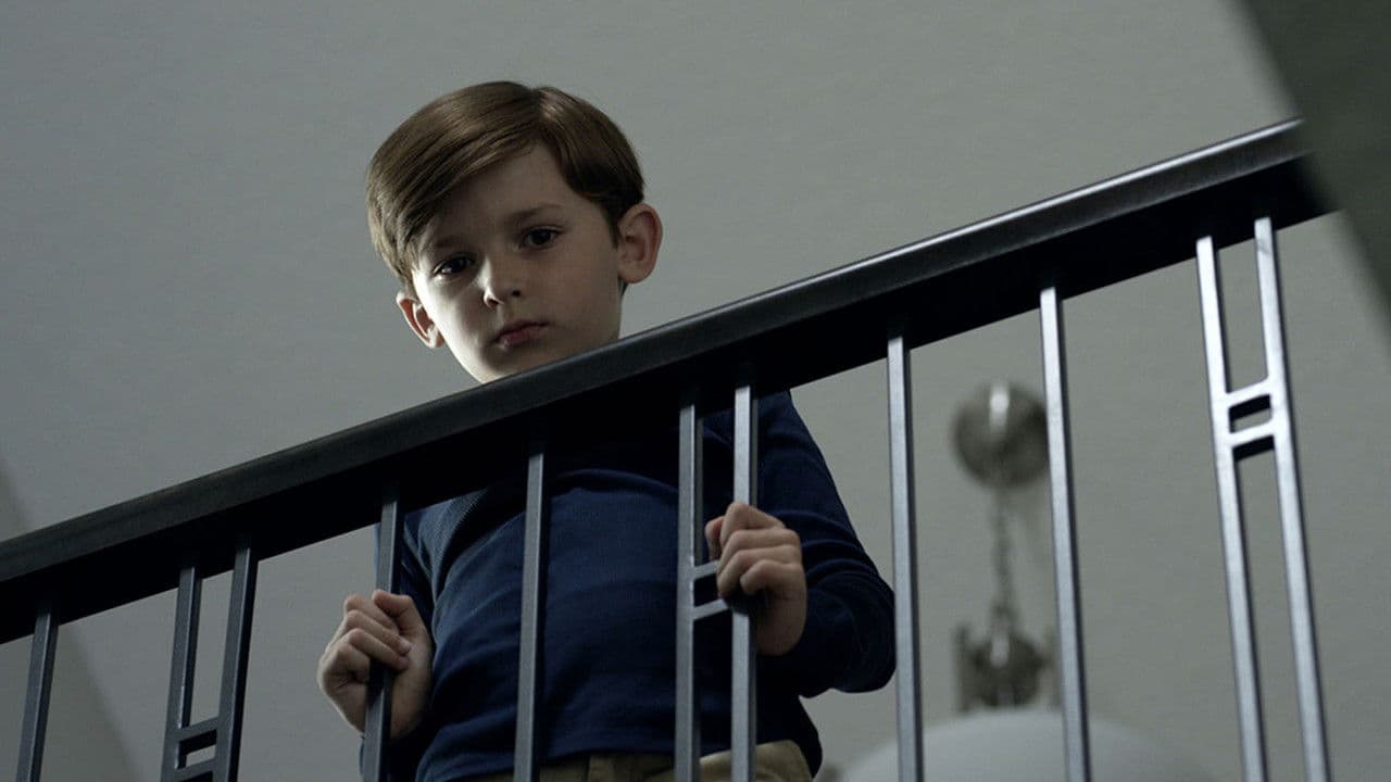 Z still 2