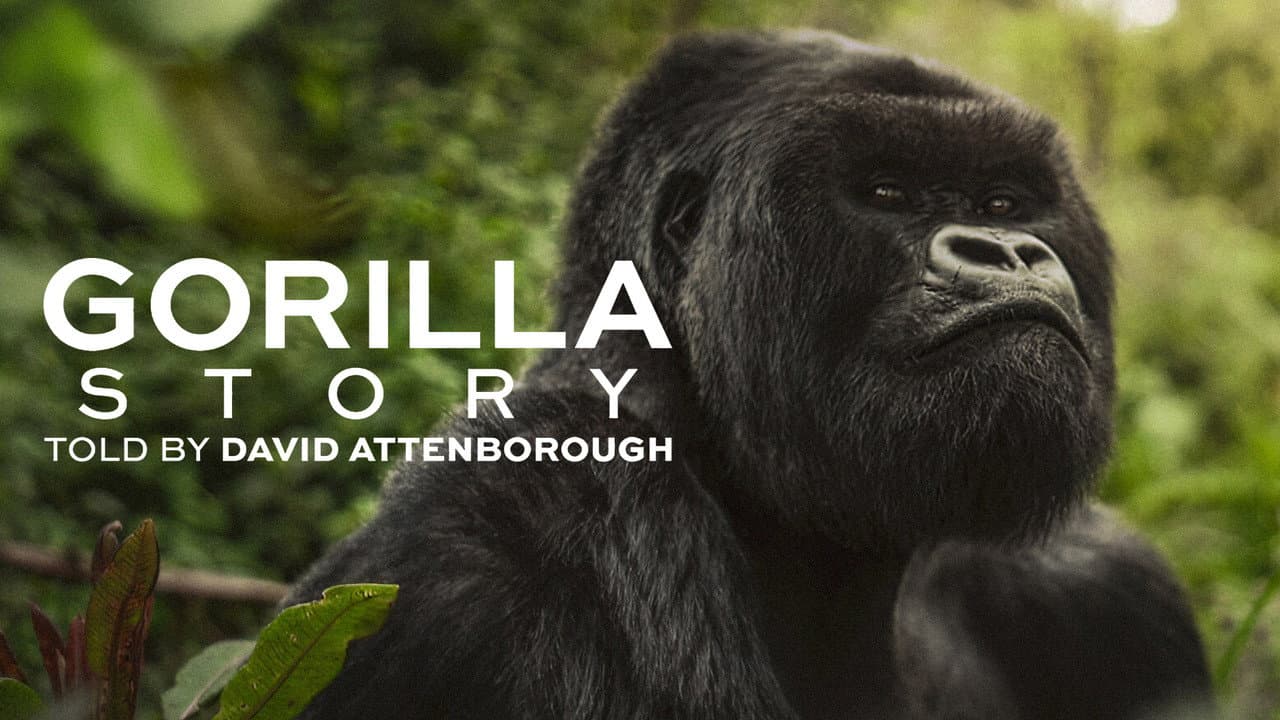 A Gorilla Story: Told by David Attenborough still 4