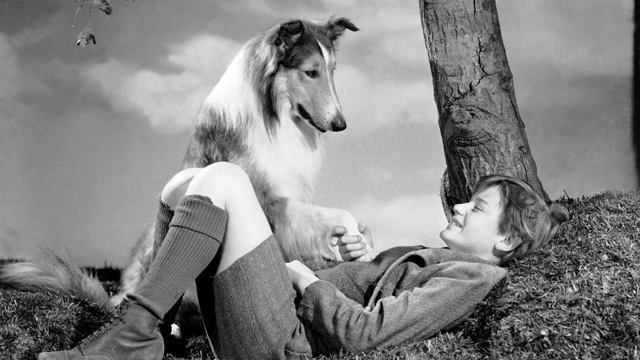Lassie Come Home still 6
