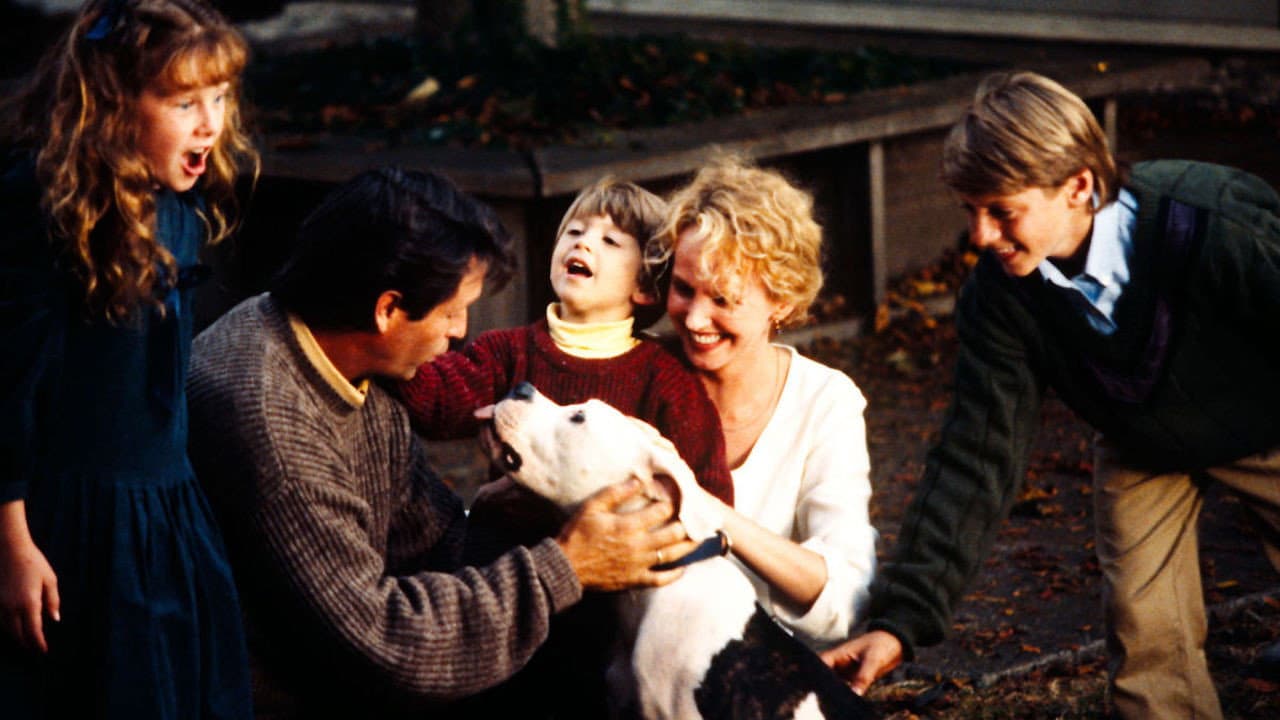 Homeward Bound: The Incredible Journey still 7