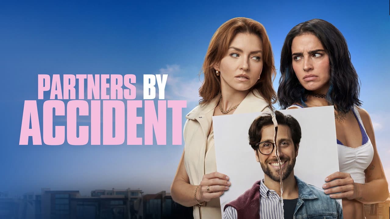 Accidental Partners still 5