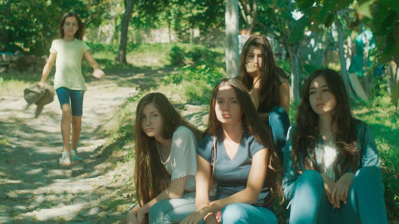 Mustang still 4