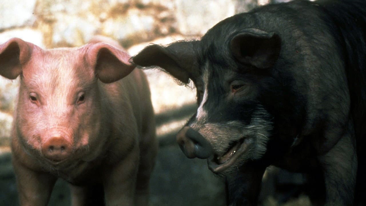 Animal Farm still 1