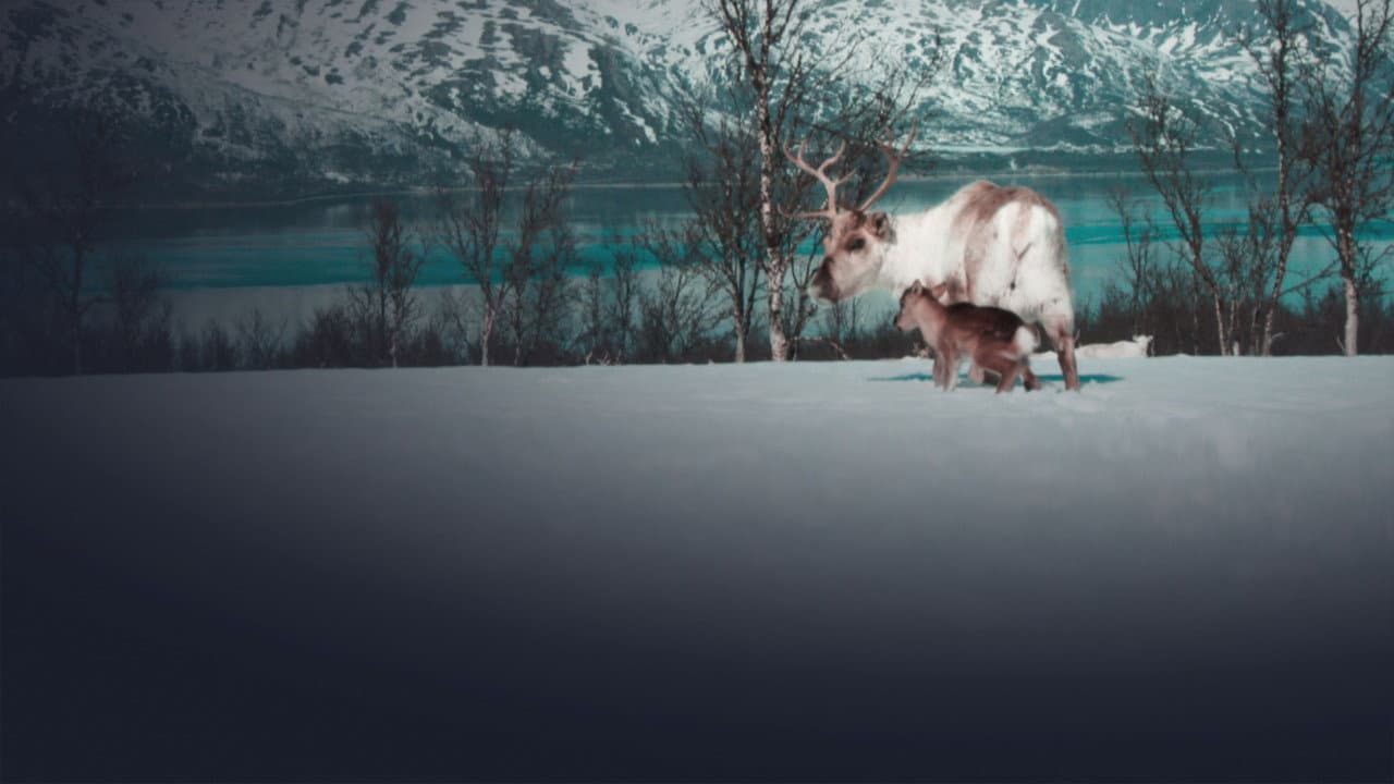 A Reindeer's Journey still 7