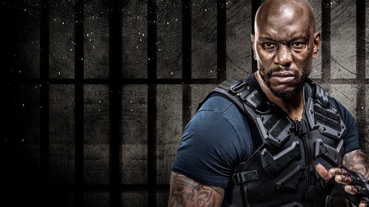 The System still 1
