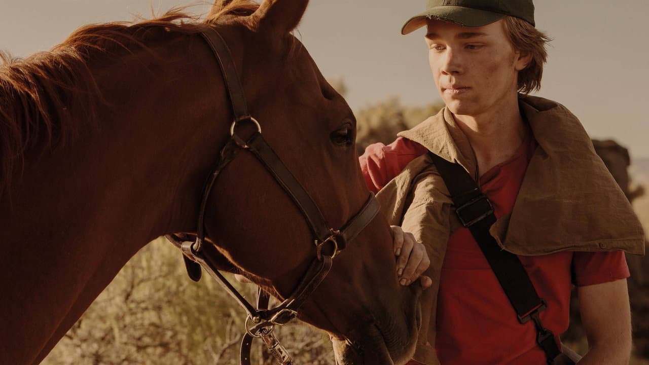 Lean on Pete still 3