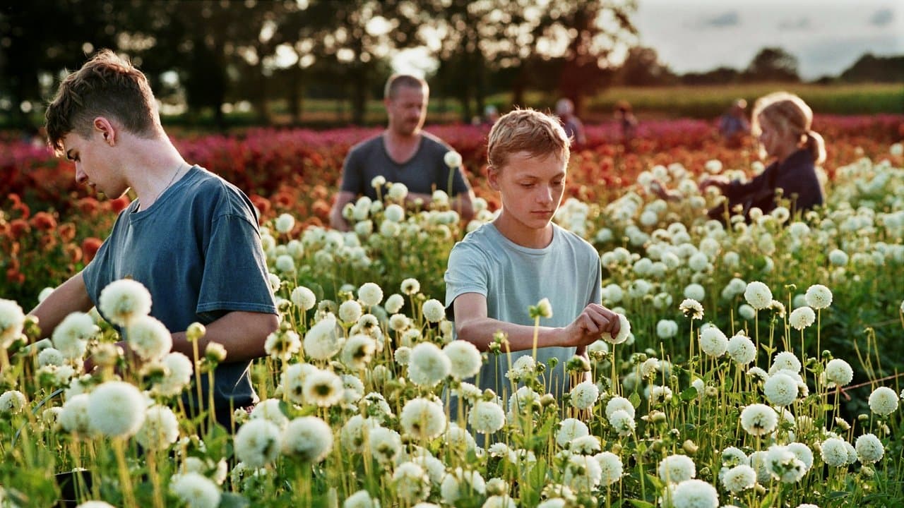 Close still 5
