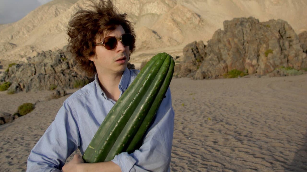 Crystal Fairy & the Magical Cactus still 5