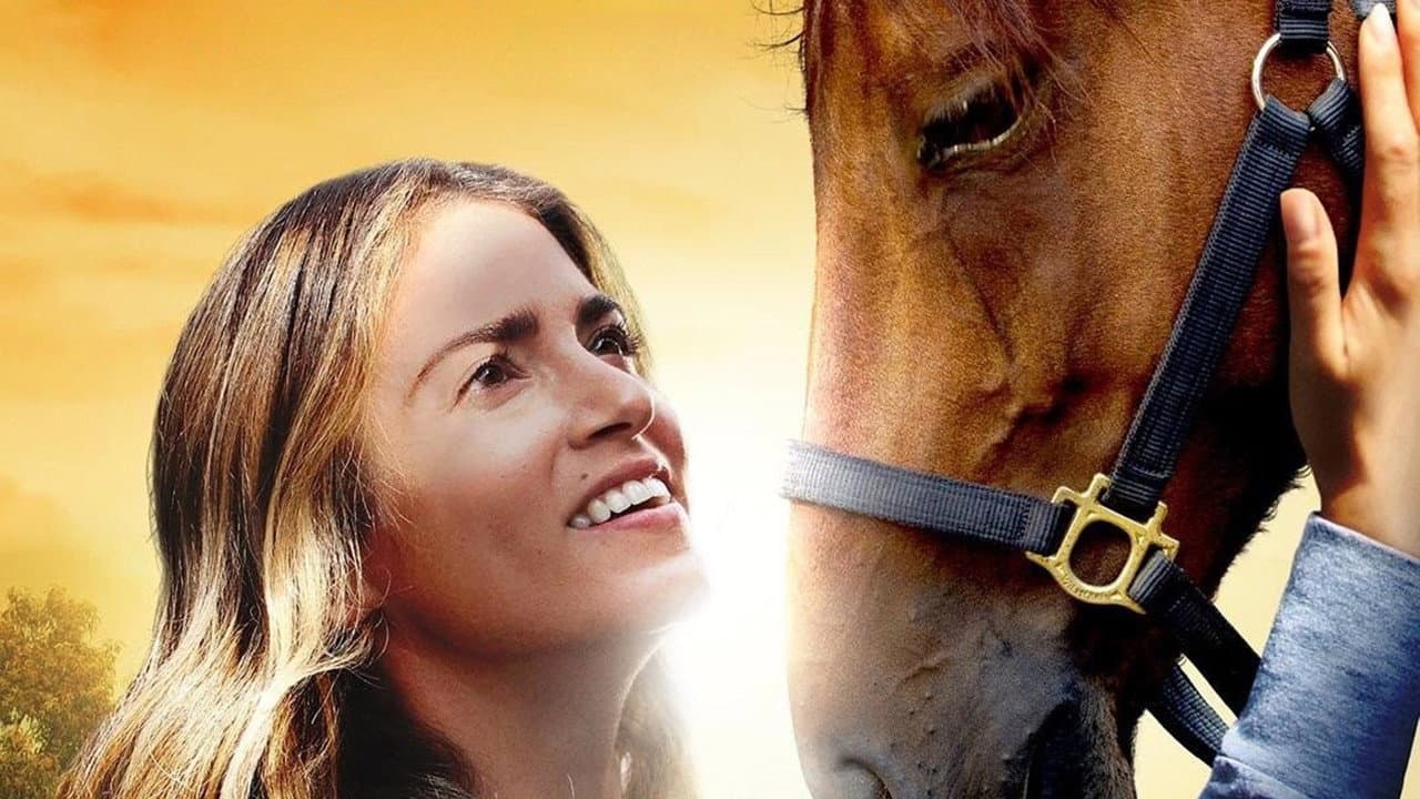 A Sunday Horse still 2