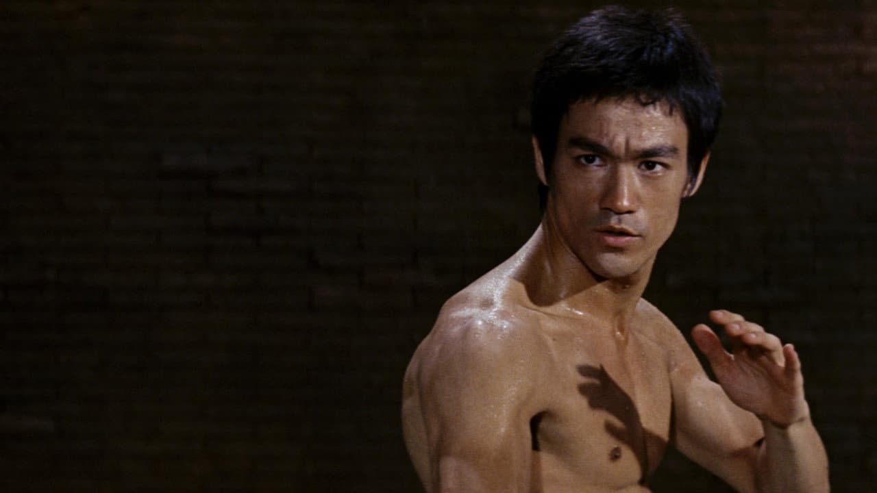 The Way of the Dragon still 8