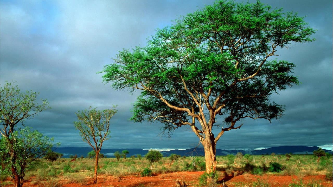 Nature Season 45 Review: PBS Wildlife Doc Still Soars still 2
